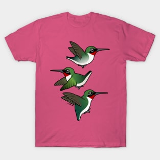 Hummingbirds in Flight T-Shirt